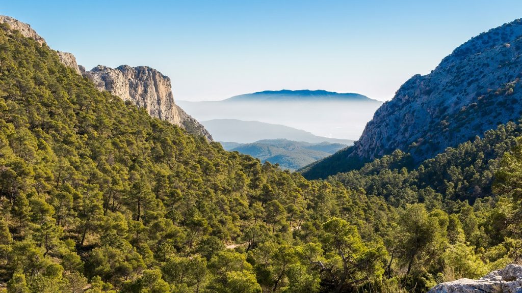 Sierra Espuña. el pulmón verde de la Región de Murcia