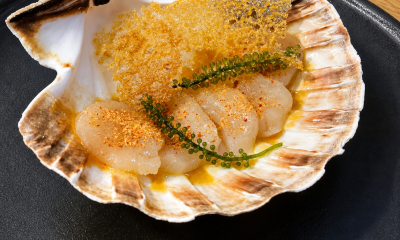 Senlleiro plato