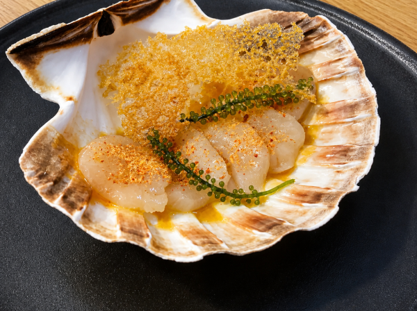Senlleiro plato