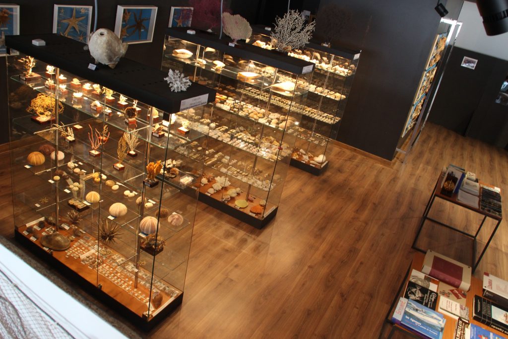Museo Mares